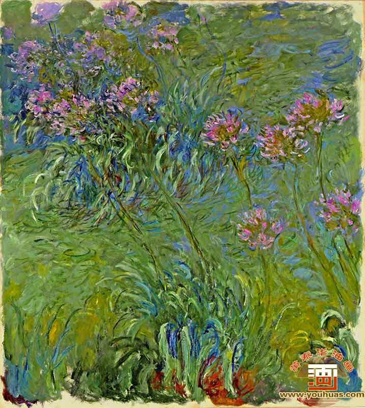 Agapanthus by Claude Monet_˄ڵ¡Īͮ(hu)Ʒp