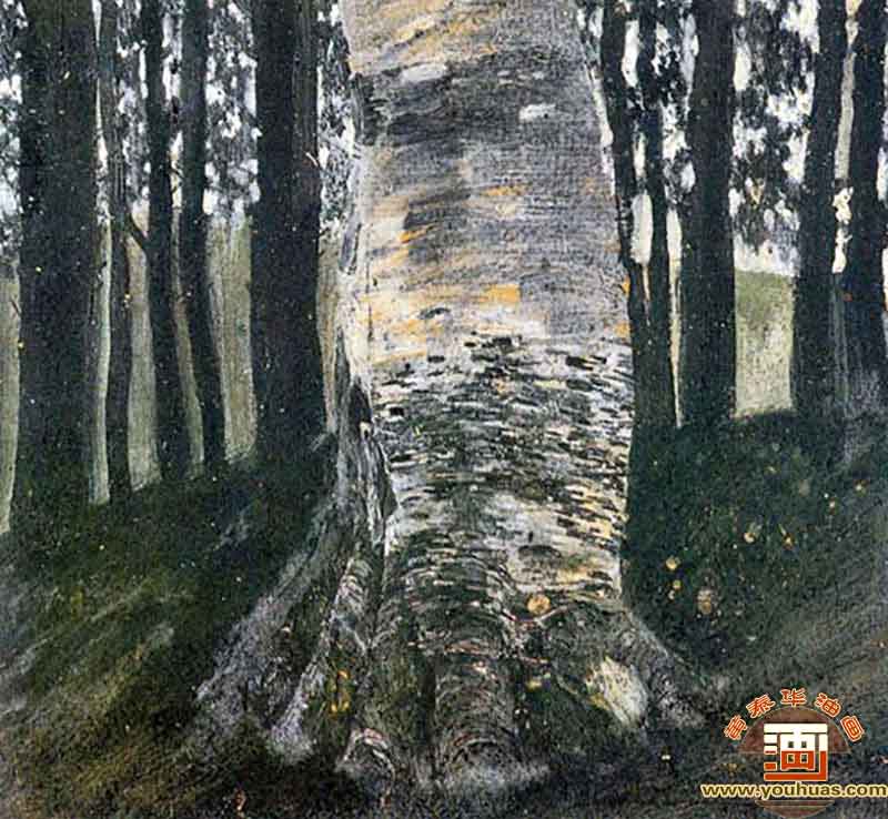 ɭBirch in a Forest_ķƷp